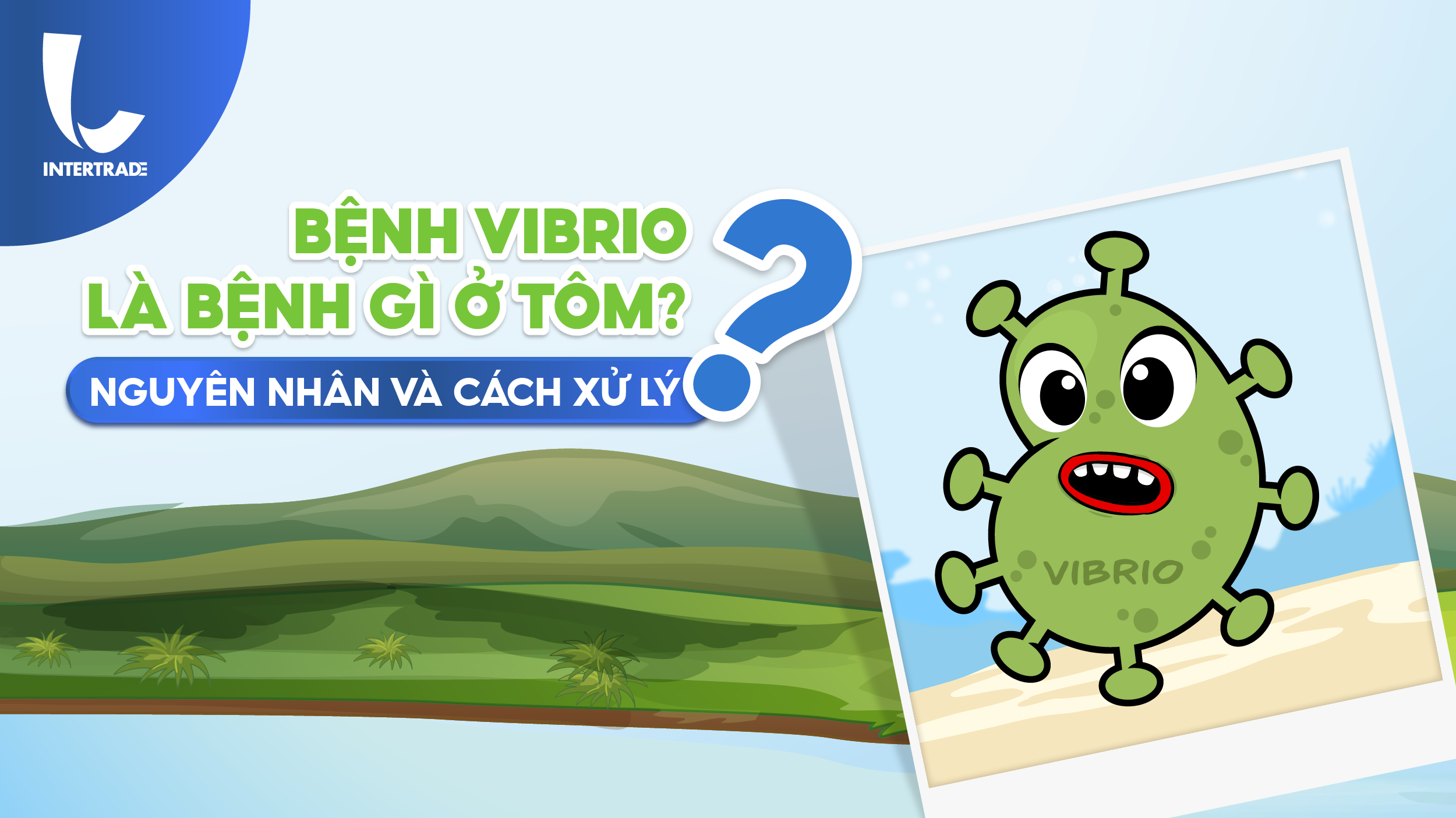 Bệnh Vibrio Là Bệnh Gì? Nguyên Nhân Và Cách Xử Lý