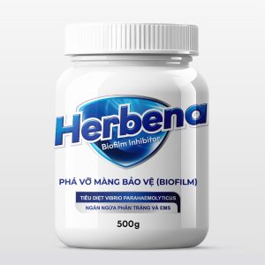 Herbena