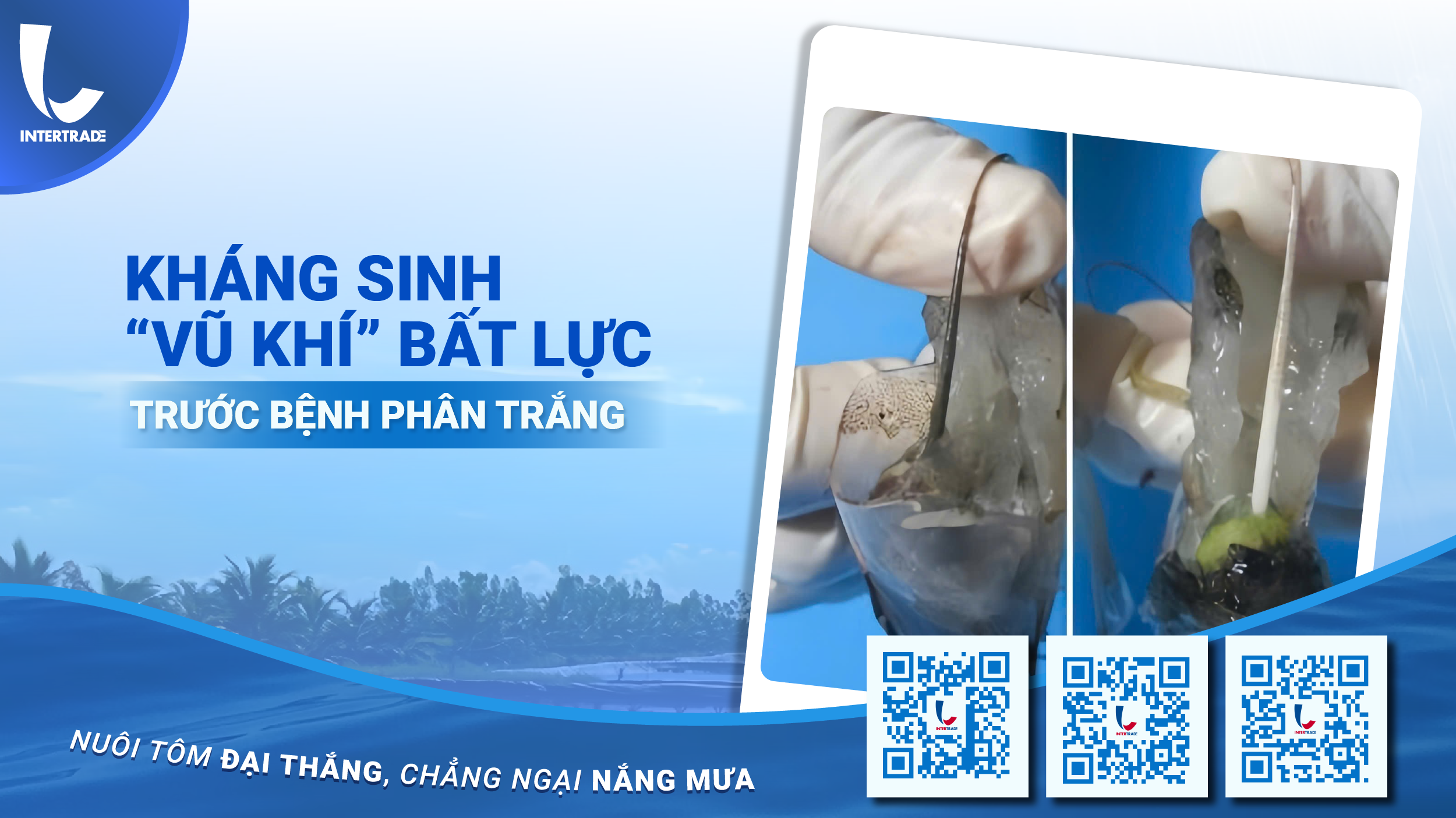 Kháng Sinh: “Vũ Khí” Bất Lực Trước Bệnh Phân Trắng