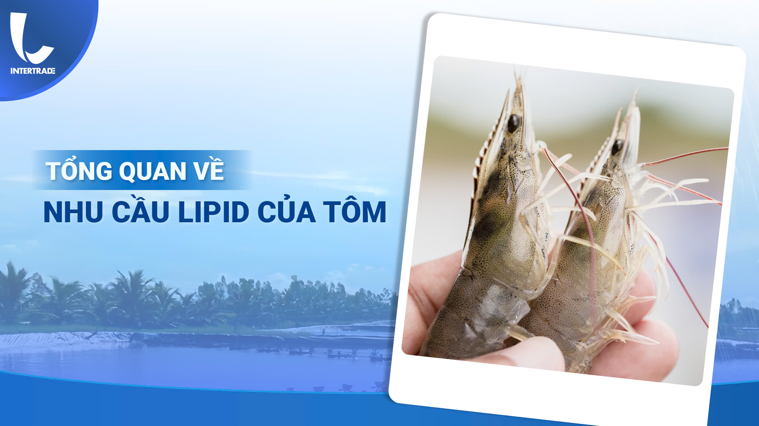 Vai trò của lipid