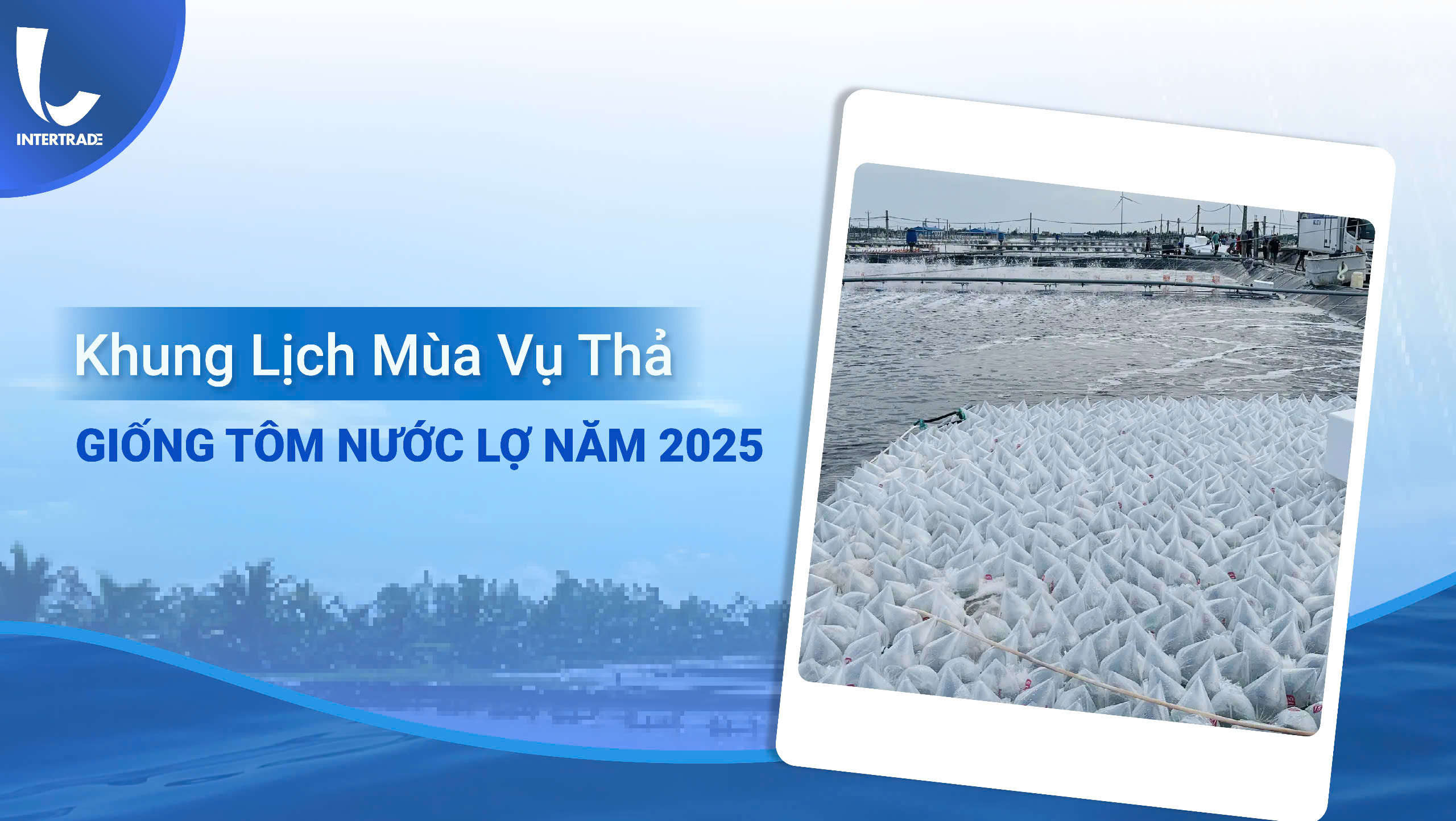 Khung Lịch Mùa Vụ Thả Giống Tôm Nước Lợ Năm 2025