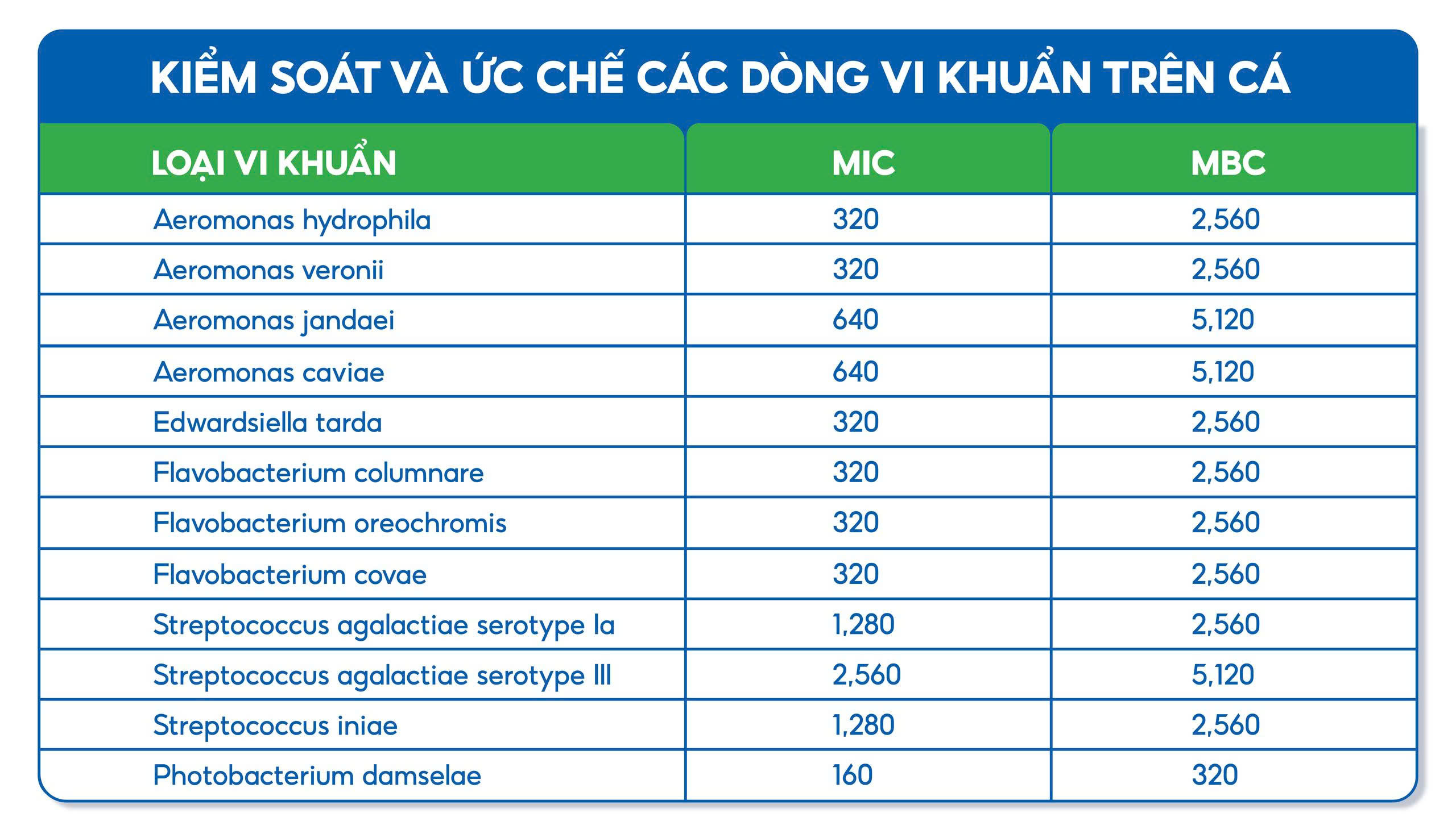 Khả năng tiêu diệt và ức chế vi khuẩn của Actinol ở cá